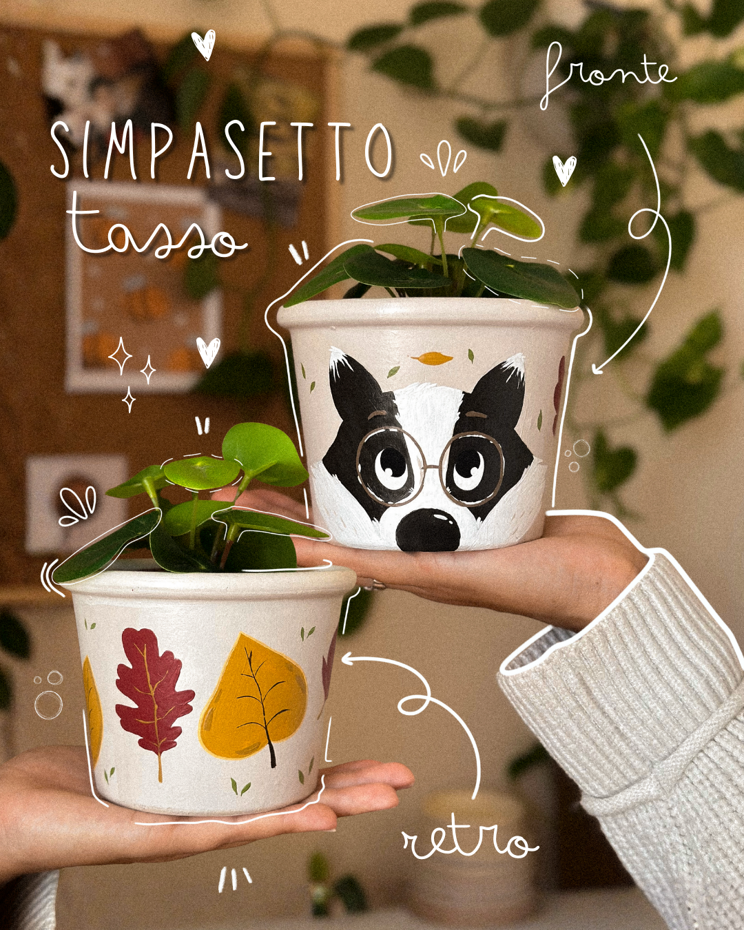 SIMPASETTI DEL BOSCO